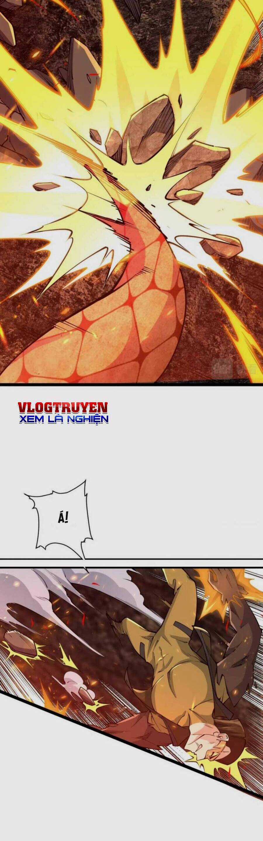 Toàn Thuộc Tính Võ Đạo Chương 21 trang 4