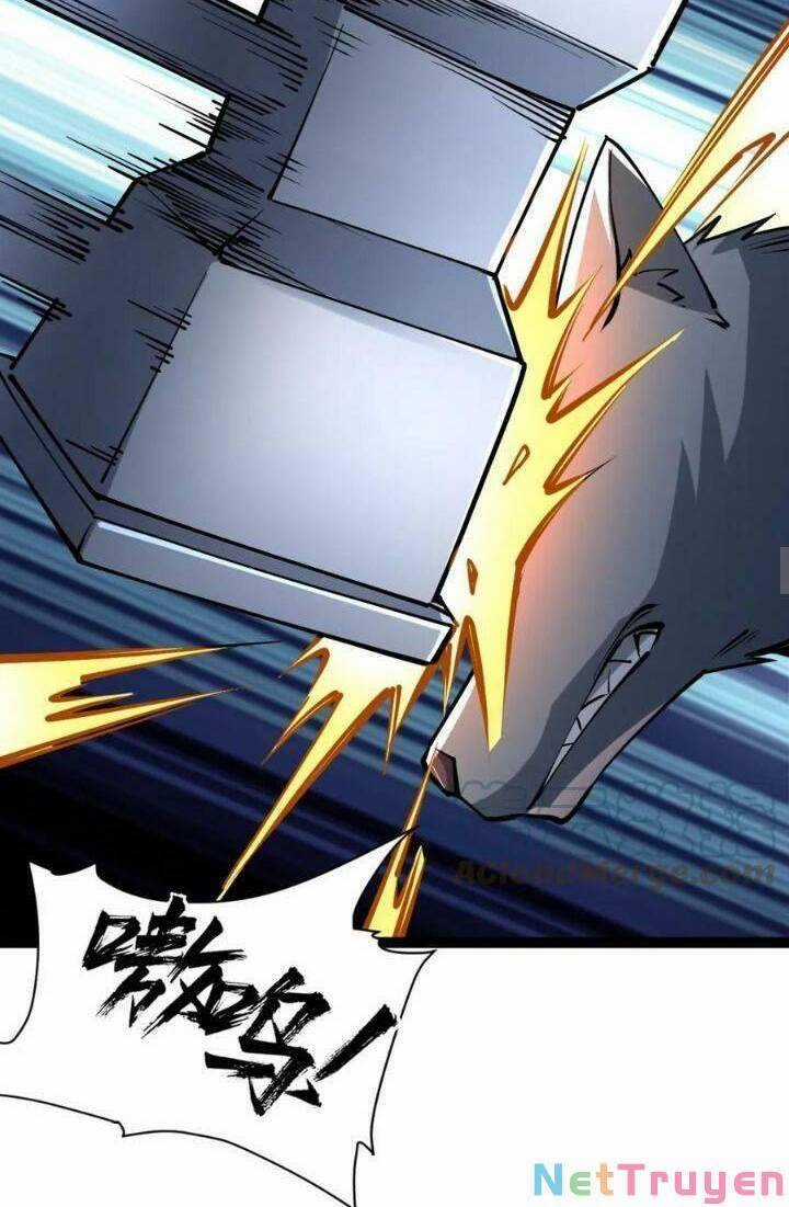 Toàn Thuộc Tính Võ Đạo Chương 33 trang 14