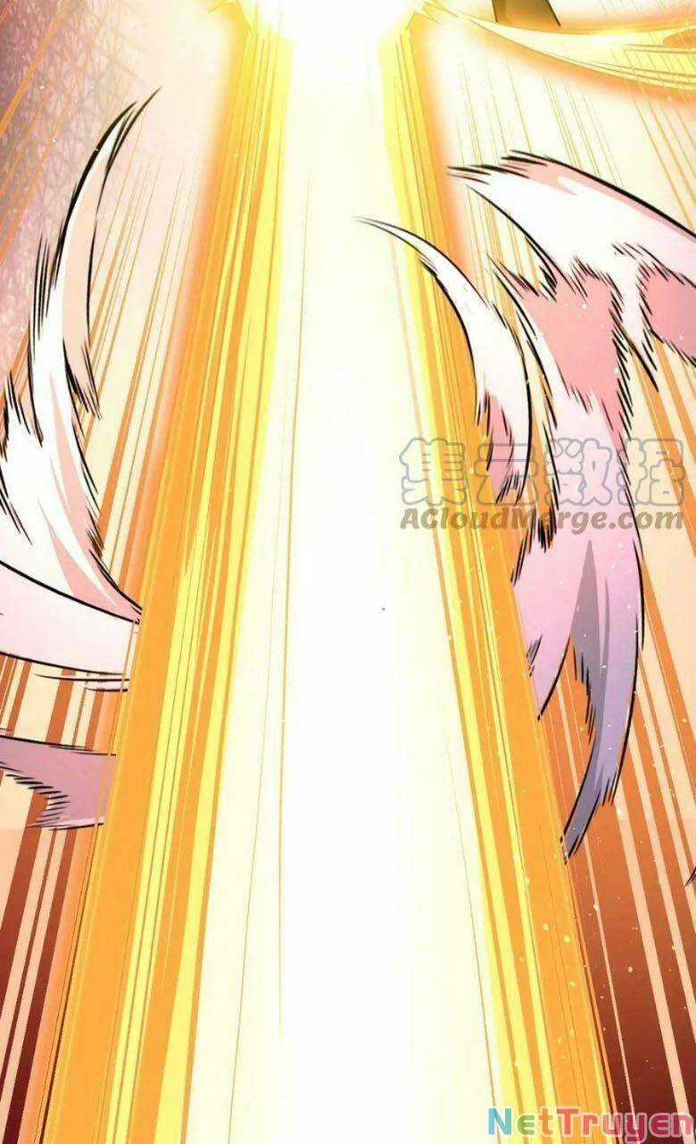 Toàn Thuộc Tính Võ Đạo Chương 36 trang 46