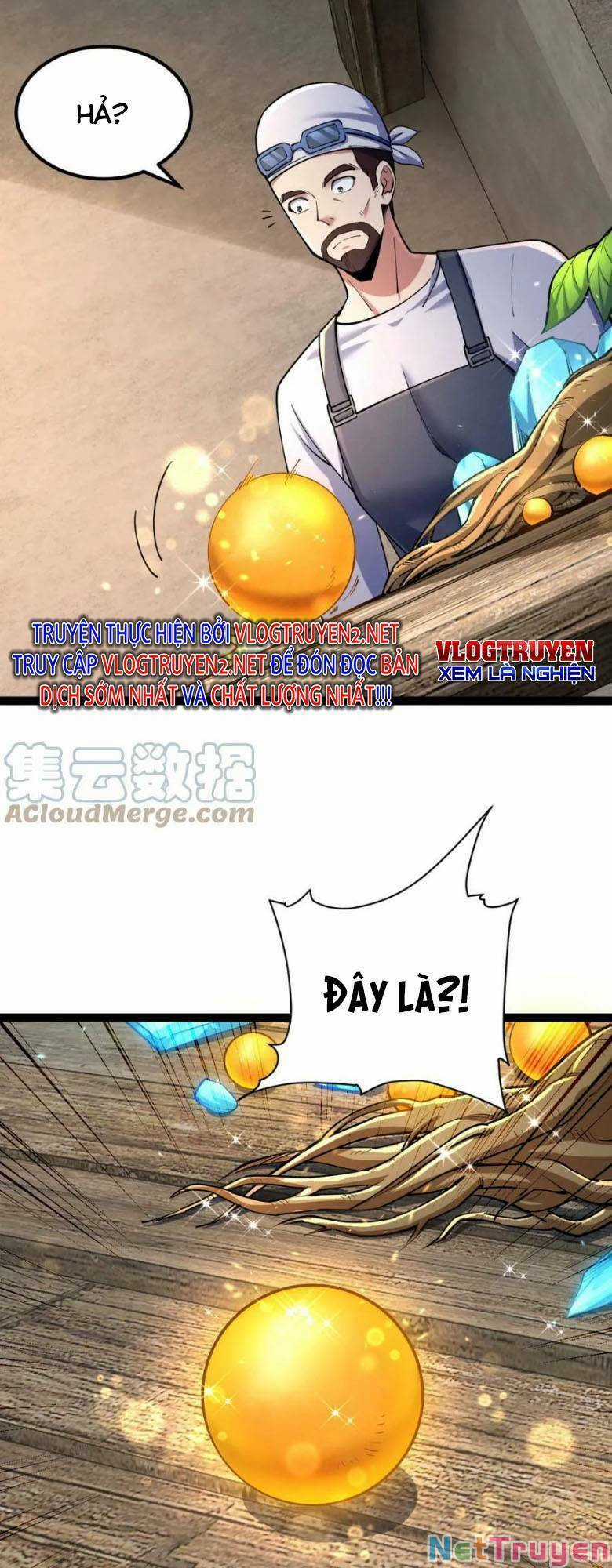 Toàn Thuộc Tính Võ Đạo Chương 38 trang 13