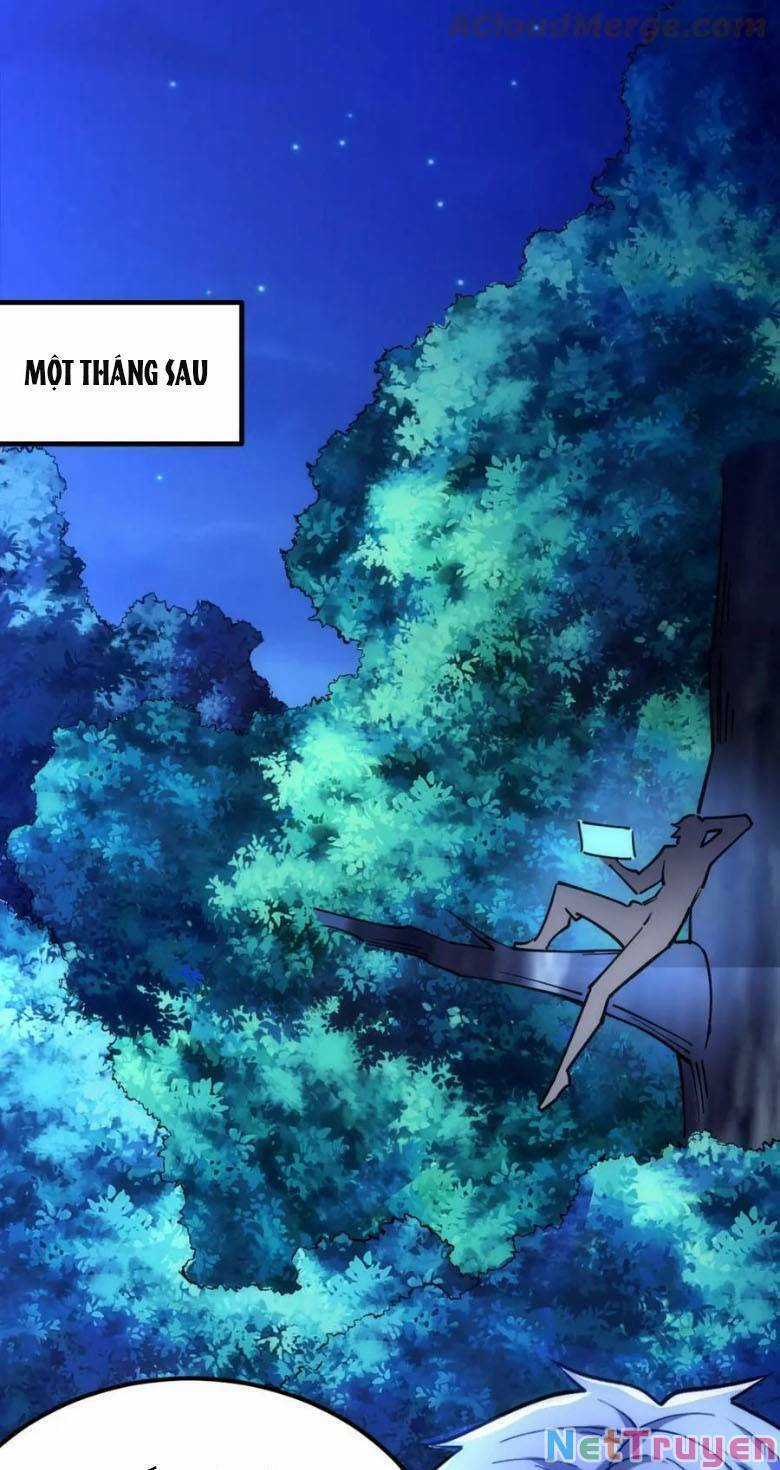 Toàn Thuộc Tính Võ Đạo Chương 43 trang 43