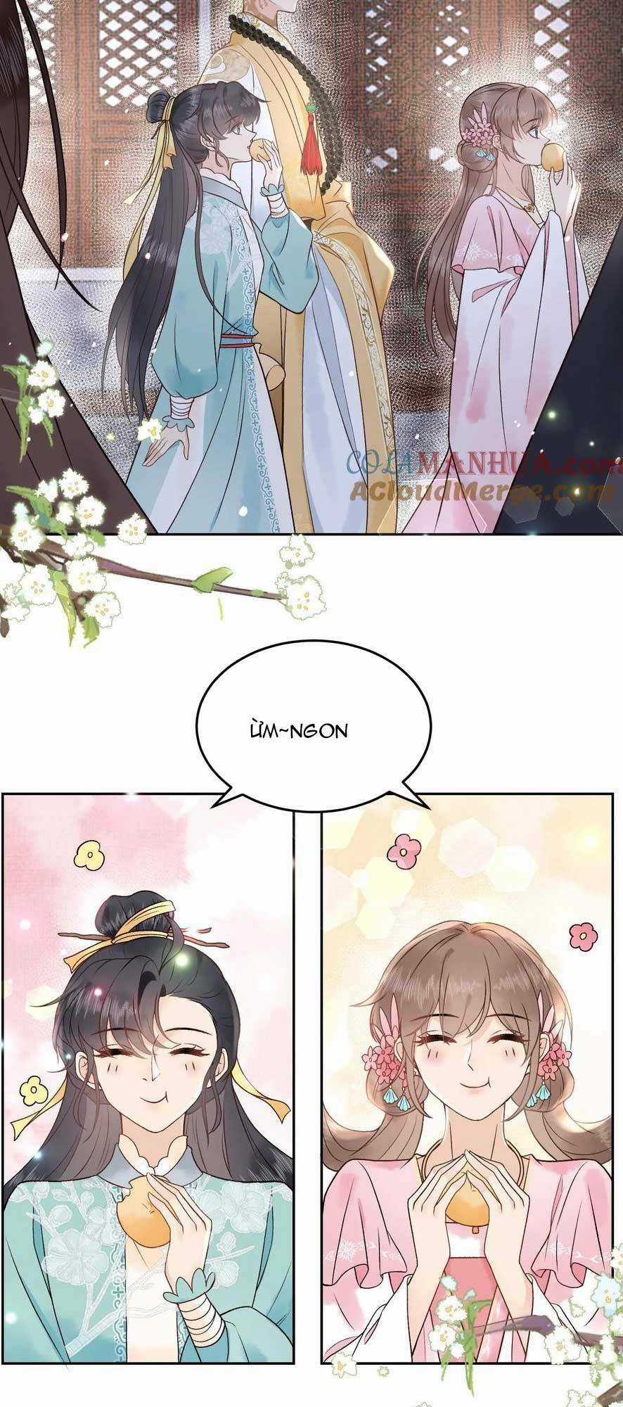 Toàn Tông Môn Đều Là Kẻ Si Tình, Chỉ Có Ta Là Tỉnh Táo Chapter 157 trang 5