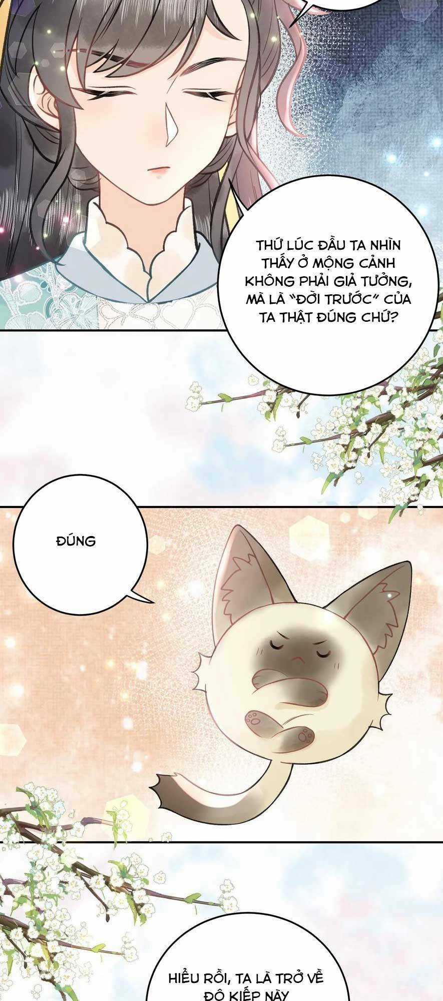 Toàn Tông Môn Đều Là Kẻ Si Tình, Chỉ Có Ta Là Tỉnh Táo Chapter 171 trang 12