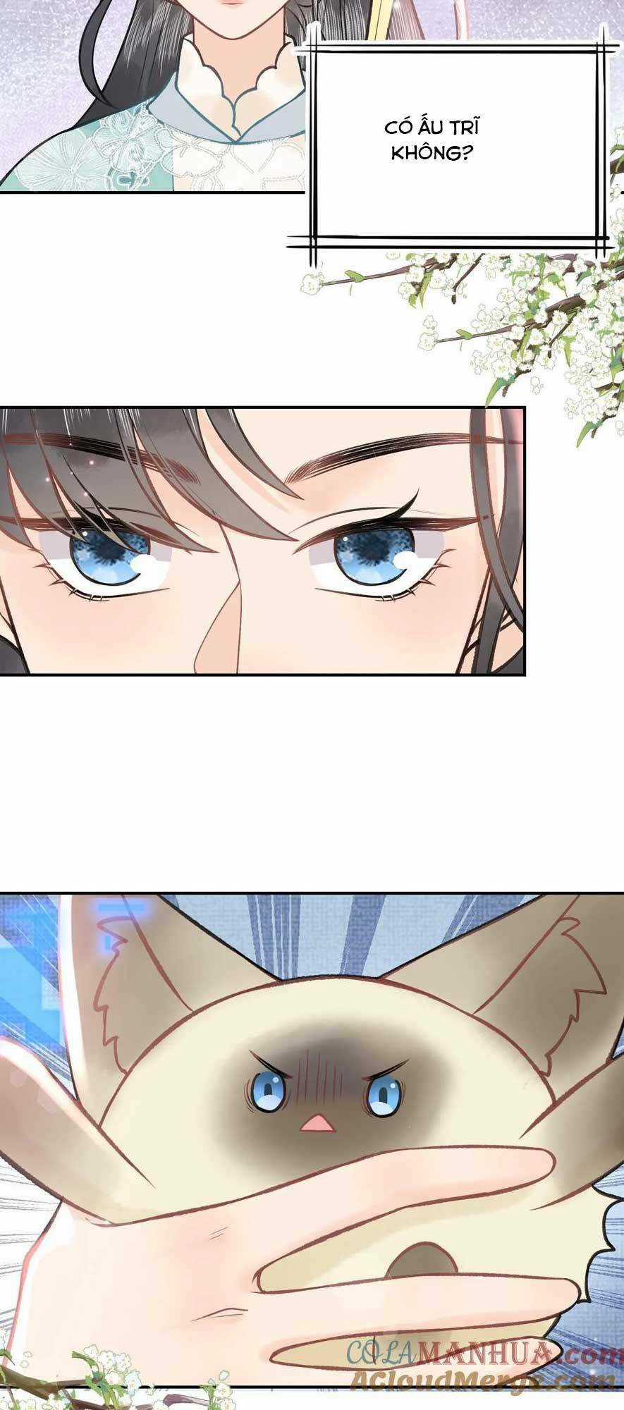 Toàn Tông Môn Đều Là Kẻ Si Tình, Chỉ Có Ta Là Tỉnh Táo Chapter 171 trang 6