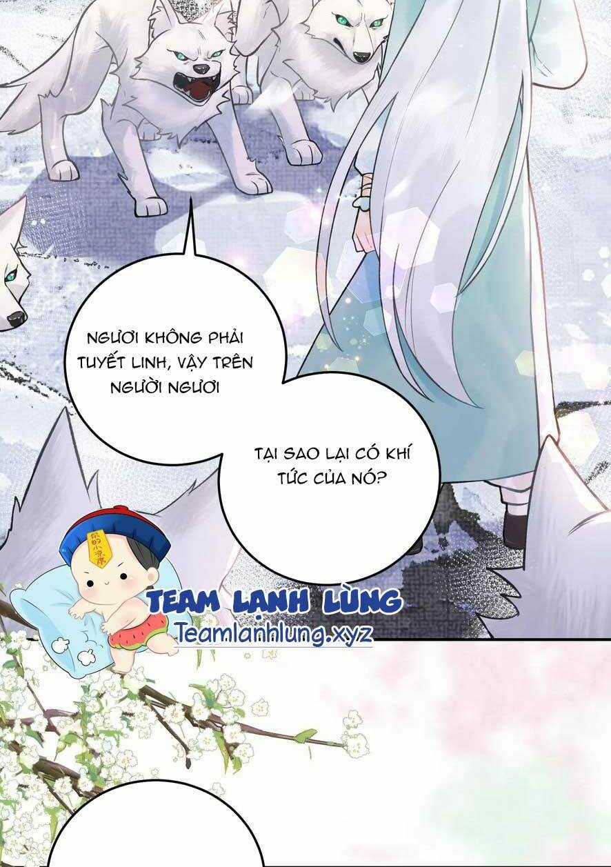 Toàn Tông Môn Đều Là Kẻ Si Tình, Chỉ Có Ta Là Tỉnh Táo Chapter 175 trang 14