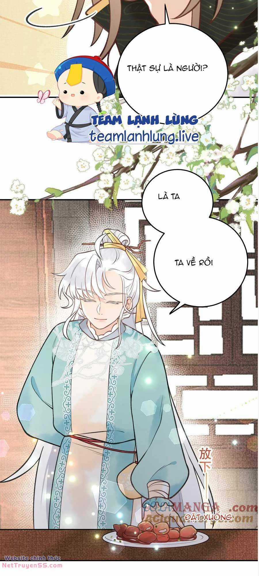 Toàn Tông Môn Đều Là Kẻ Si Tình, Chỉ Có Ta Là Tỉnh Táo Chapter 181 trang 15