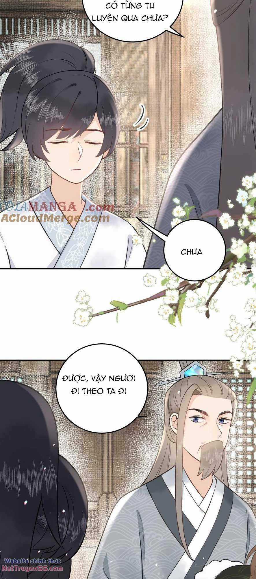 Toàn Tông Môn Đều Là Kẻ Si Tình, Chỉ Có Ta Là Tỉnh Táo Chapter 181 trang 2