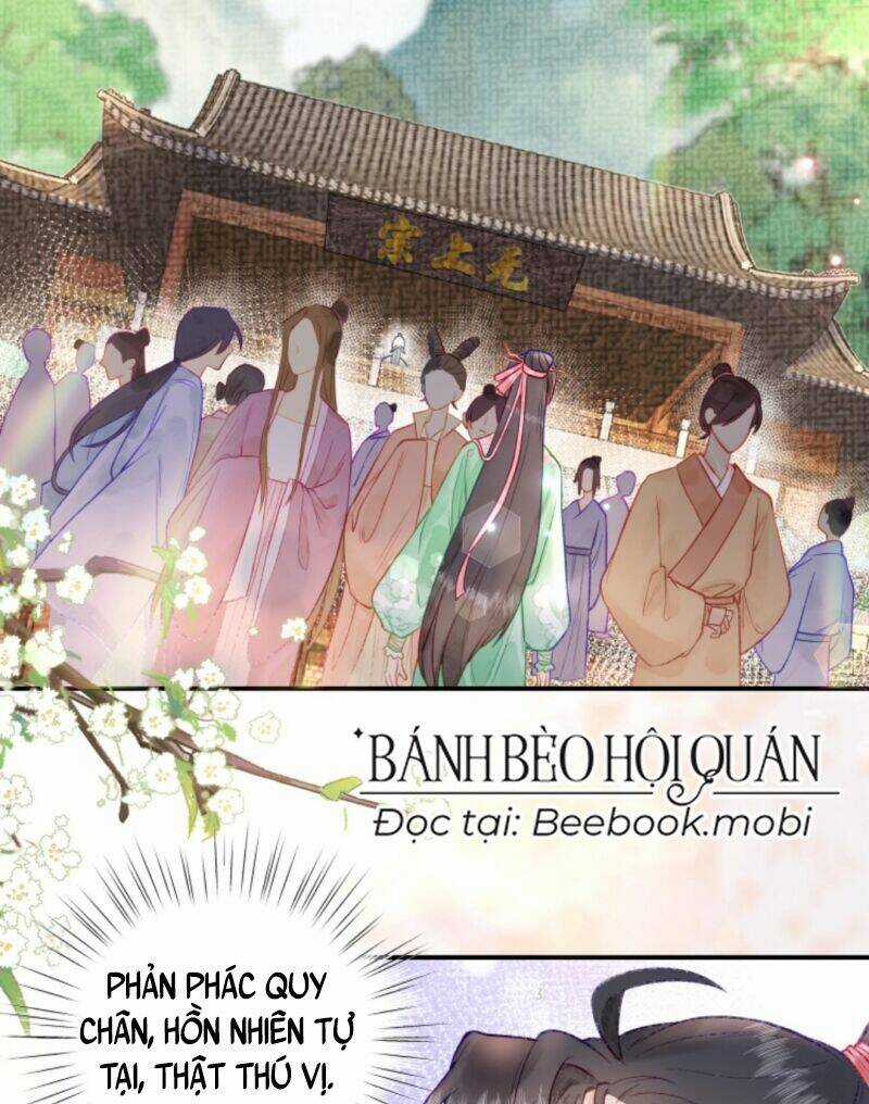 Toàn Tông Môn Đều Là Kẻ Si Tình, Chỉ Có Ta Là Tỉnh Táo Chapter 5 trang 14