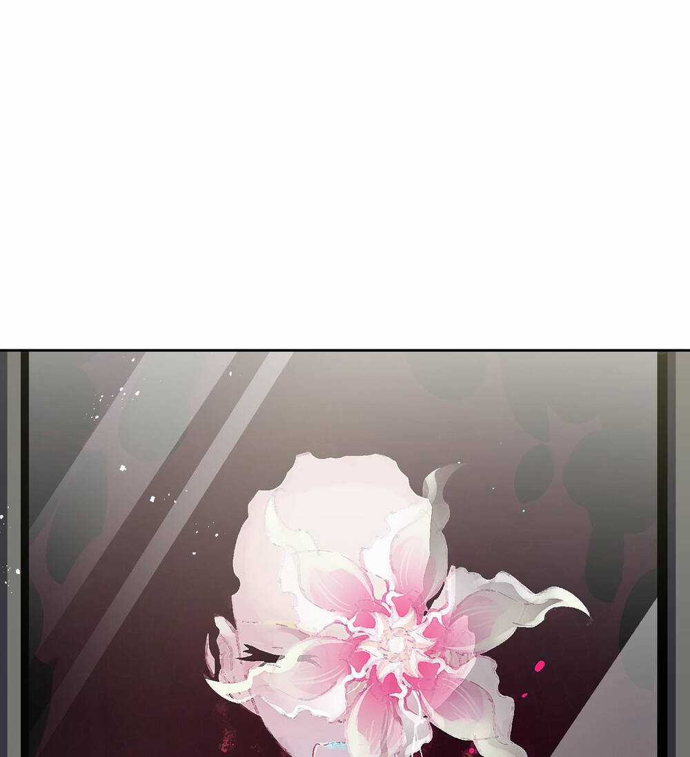 Tôi Bị Bọn Họ Tìm Đến Tận Cửa Sau Khi Tỏ Tình Hàng Loạt Chapter 49 trang 68