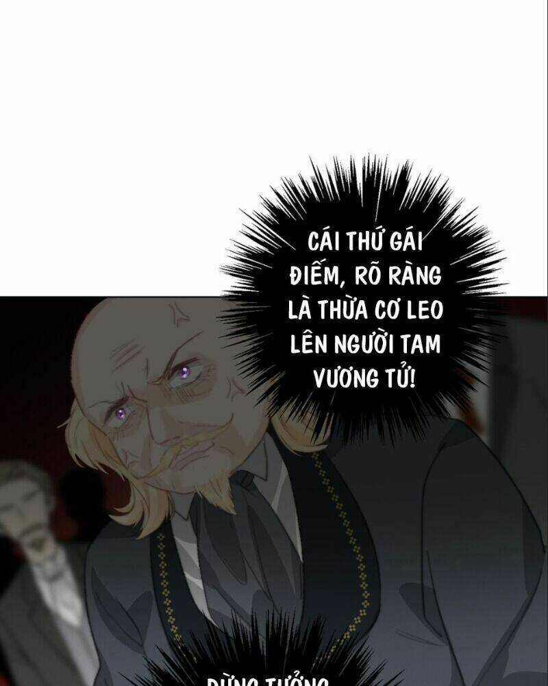 Tôi Bị Ép Trở Thành Vương Phi Khi Xuyên Tới Thế Giới Khác Chapter 2 trang 32