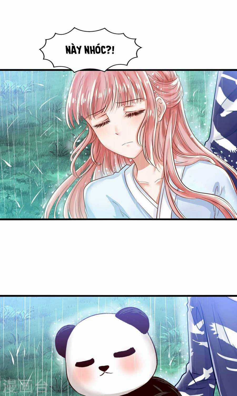 Tôi Bị Gấu Trúc Nhìn Trúng Rồi Chapter 11 trang 35