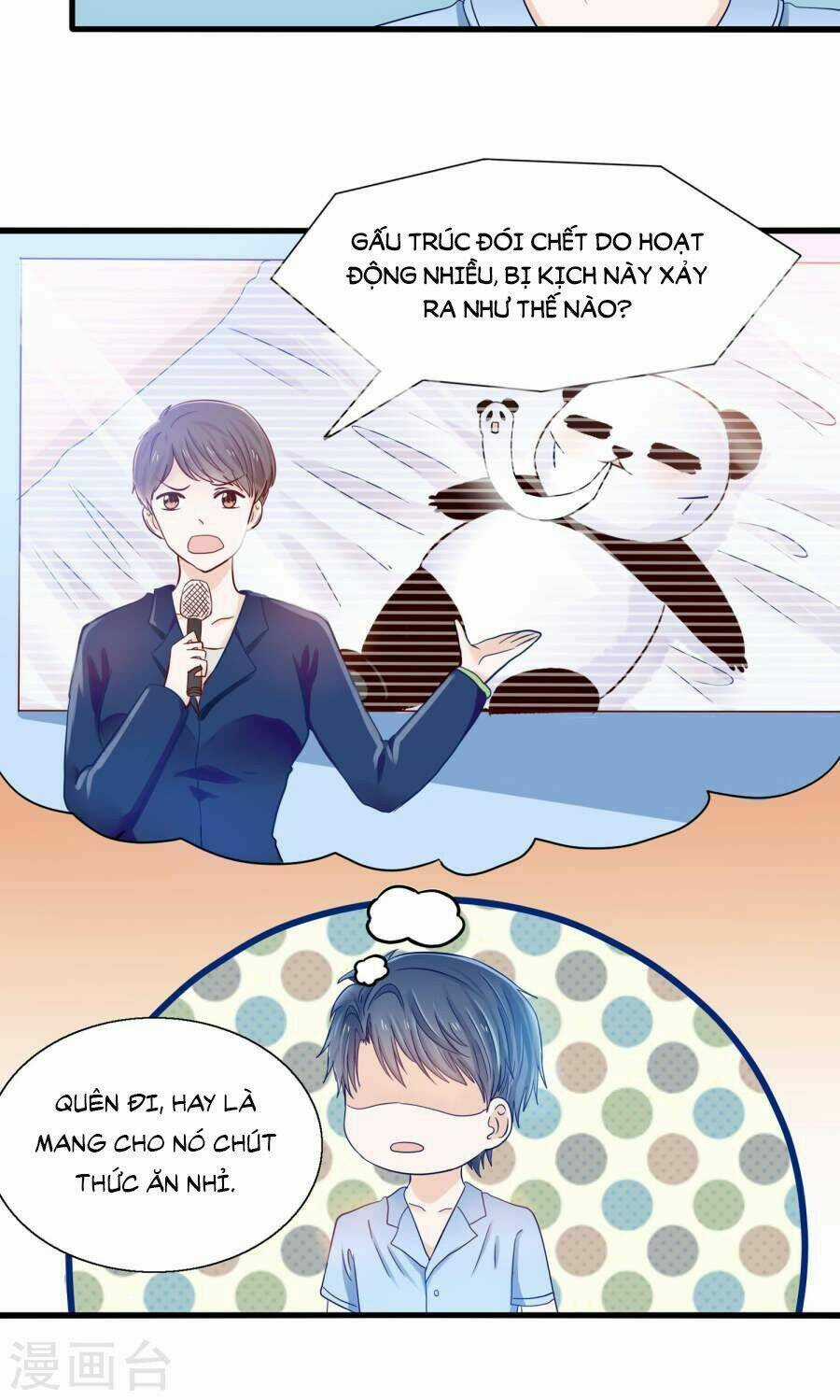 Tôi Bị Gấu Trúc Nhìn Trúng Rồi Chapter 8 trang 13
