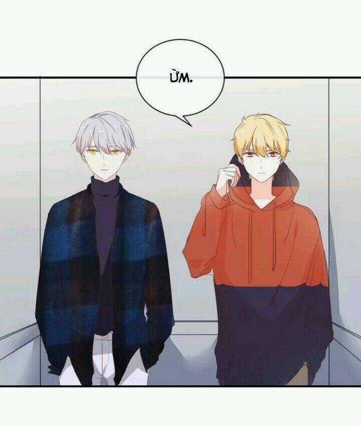 Tôi Bị Idol... Chuyện Không Thể Tả Chapter 112 trang 15