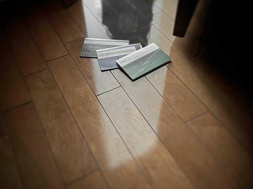 Tôi Bị Một Nữ Sinh Trung Học Kỳ Lạ Giam Cầm Chapter 5 trang 6