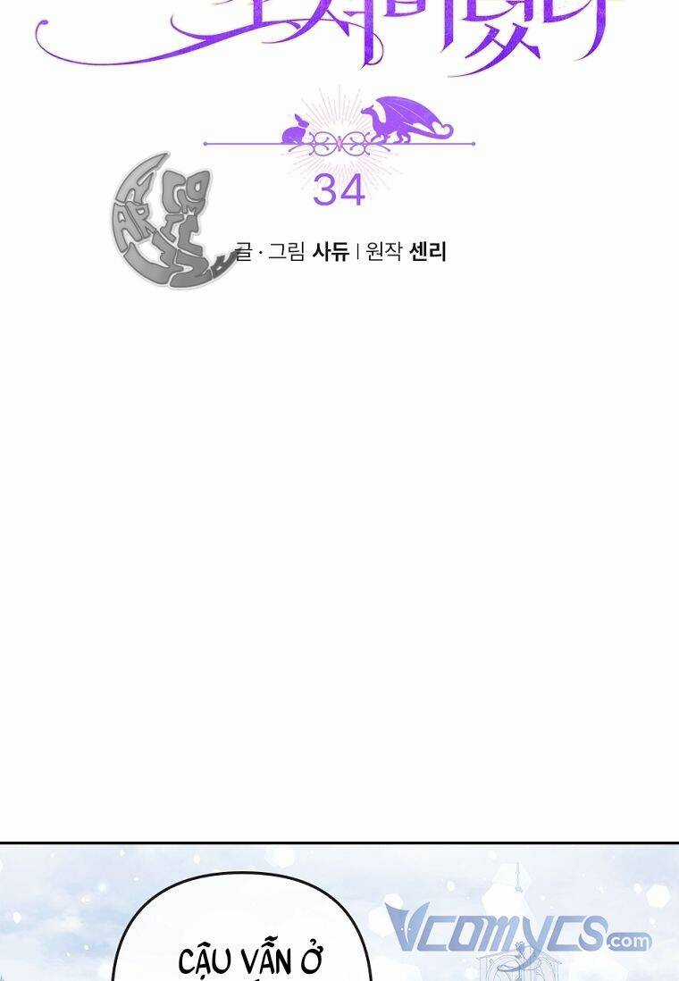 Tôi Bị Quyến Rũ Bởi Nam Chính Ốm Yếu Chapter 34 trang 8