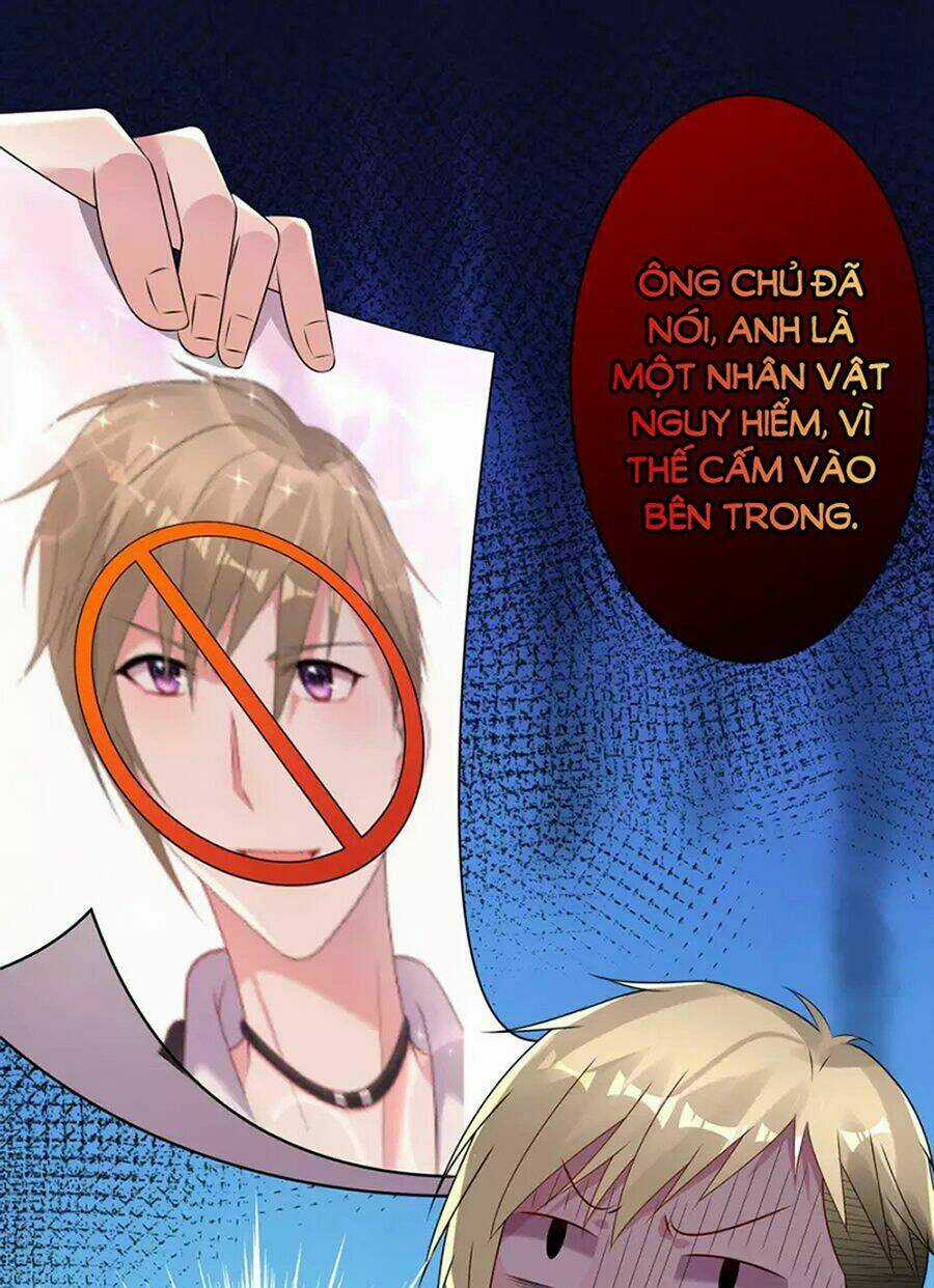 Tôi Bị Tổng Tài Ám Hại Chapter 143 trang 11