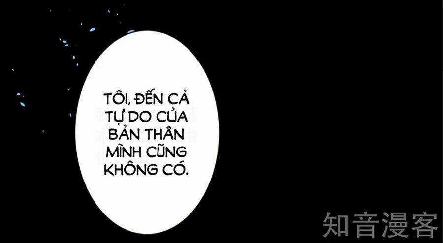Tôi Bị Tổng Tài Ám Hại Chapter 145 trang 31