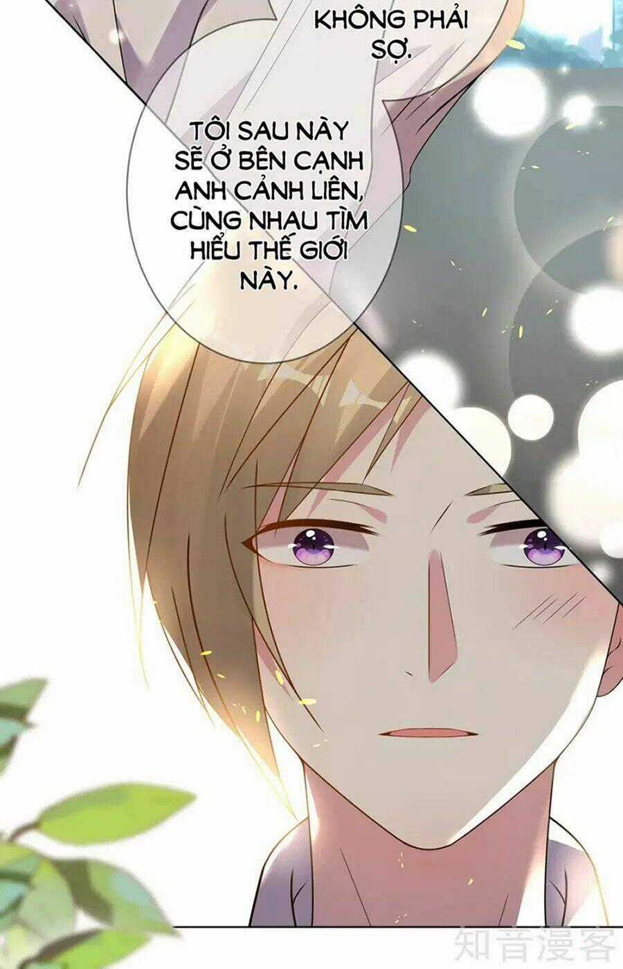Tôi Bị Tổng Tài Ám Hại Chapter 146 trang 37