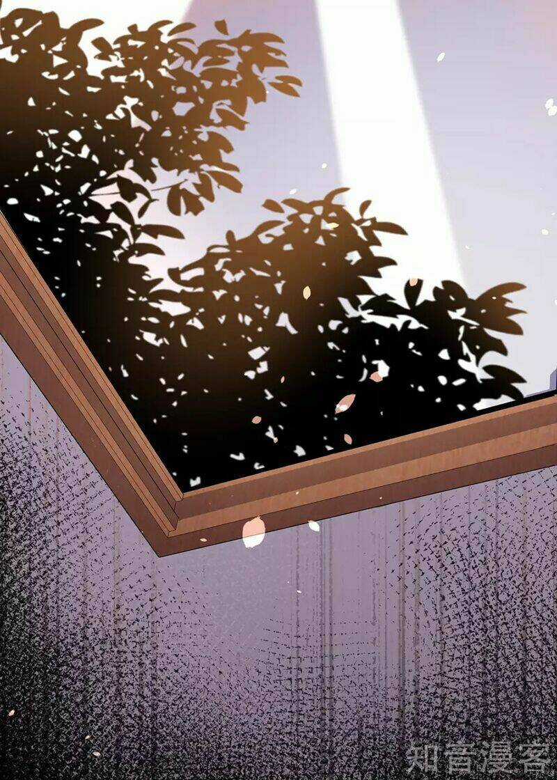 Tôi Bị Tổng Tài Ám Hại Chapter 148 trang 33