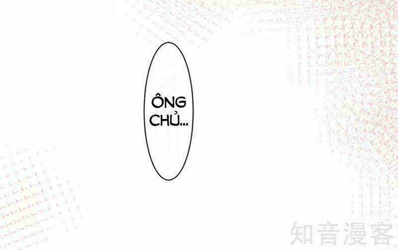 Tôi Bị Tổng Tài Ám Hại Chapter 153 trang 28