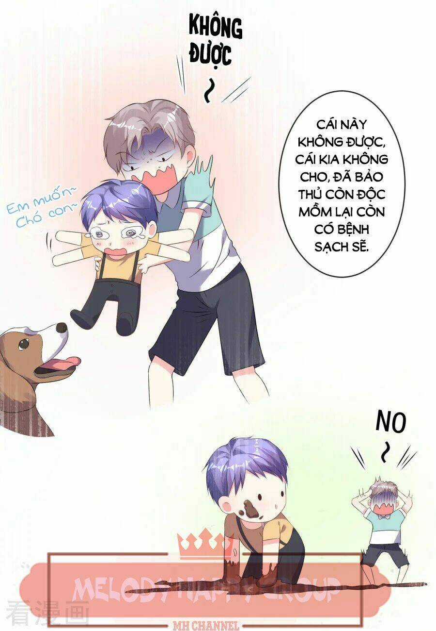 Tôi Bị Tổng Tài Ám Hại Chapter 160 trang 11