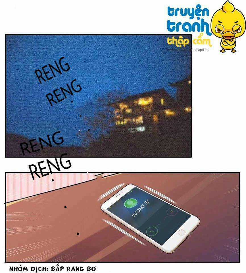 Tôi Bị Tổng Tài Ám Hại Chapter 2 trang 12