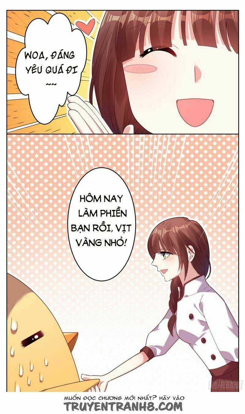 Tôi Bị Tổng Tài Ám Hại Chapter 33 trang 12