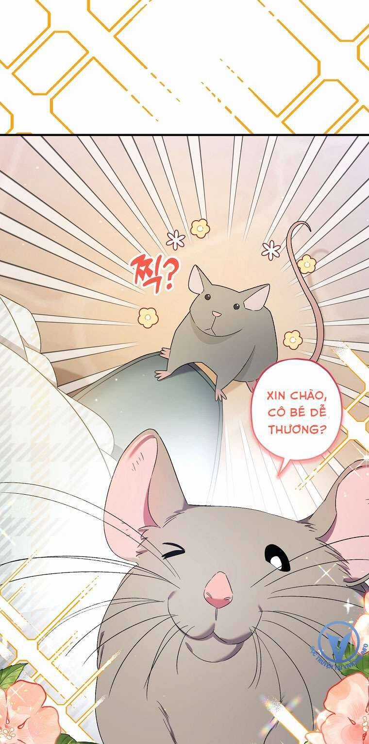 Tôi Chỉ Chăm Sóc Người Cha Ốm Yếu Của Mình Mà Thôi! Chapter 15 trang 17
