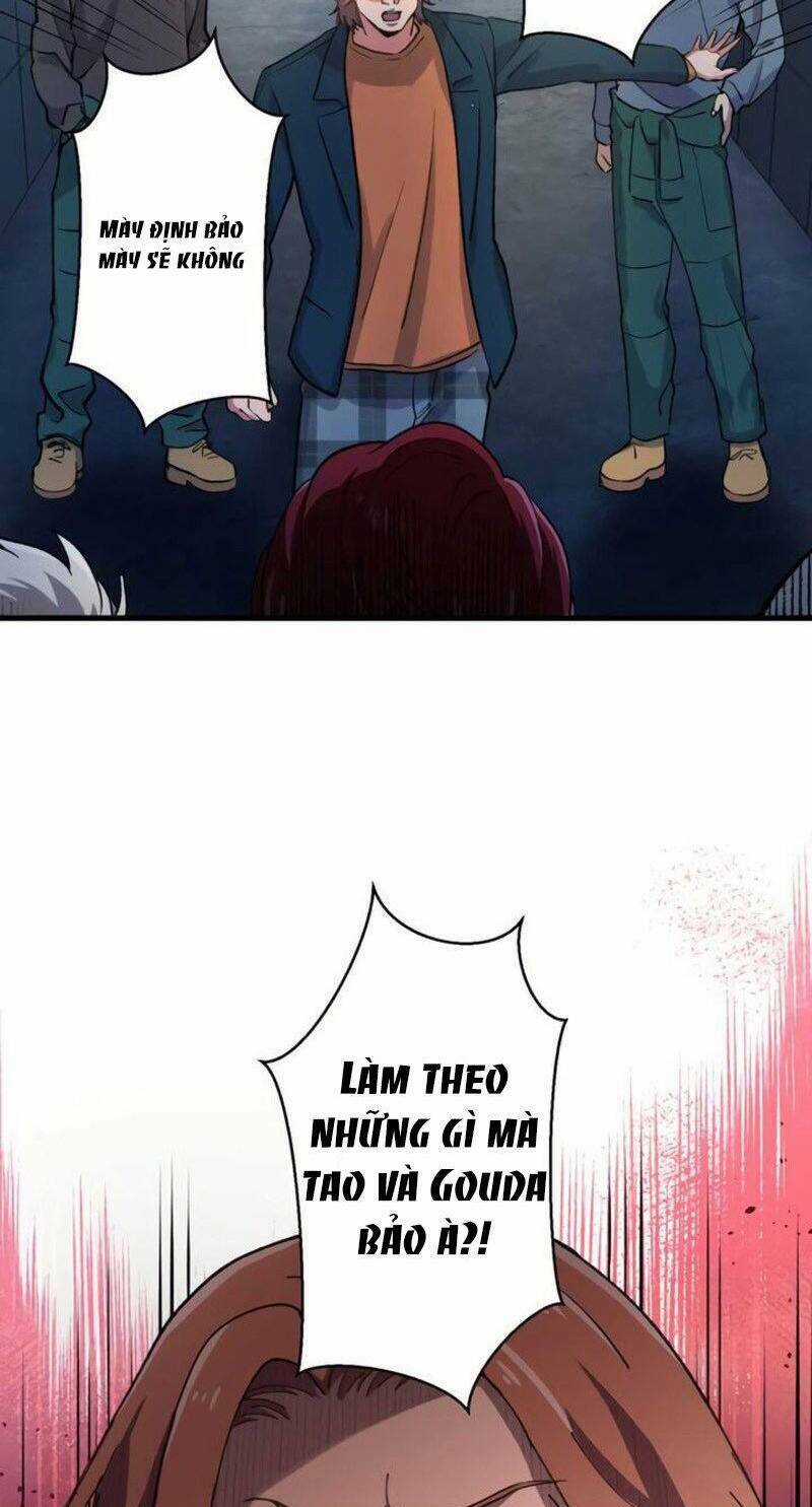 tôi chỉ là một người dọn dẹp Chapter 15 trang 172