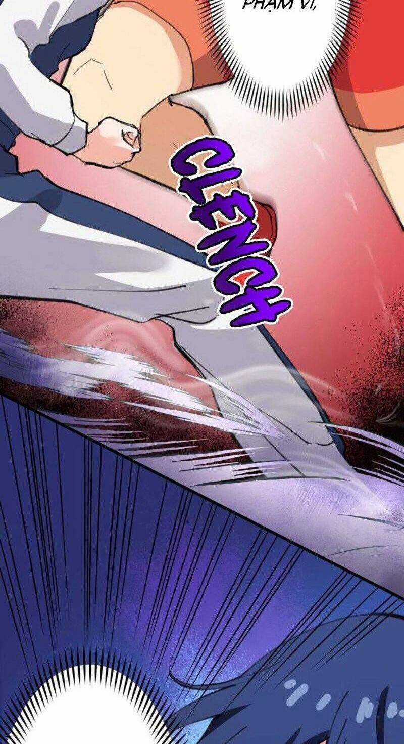 tôi chỉ là một người dọn dẹp Chapter 15 trang 51