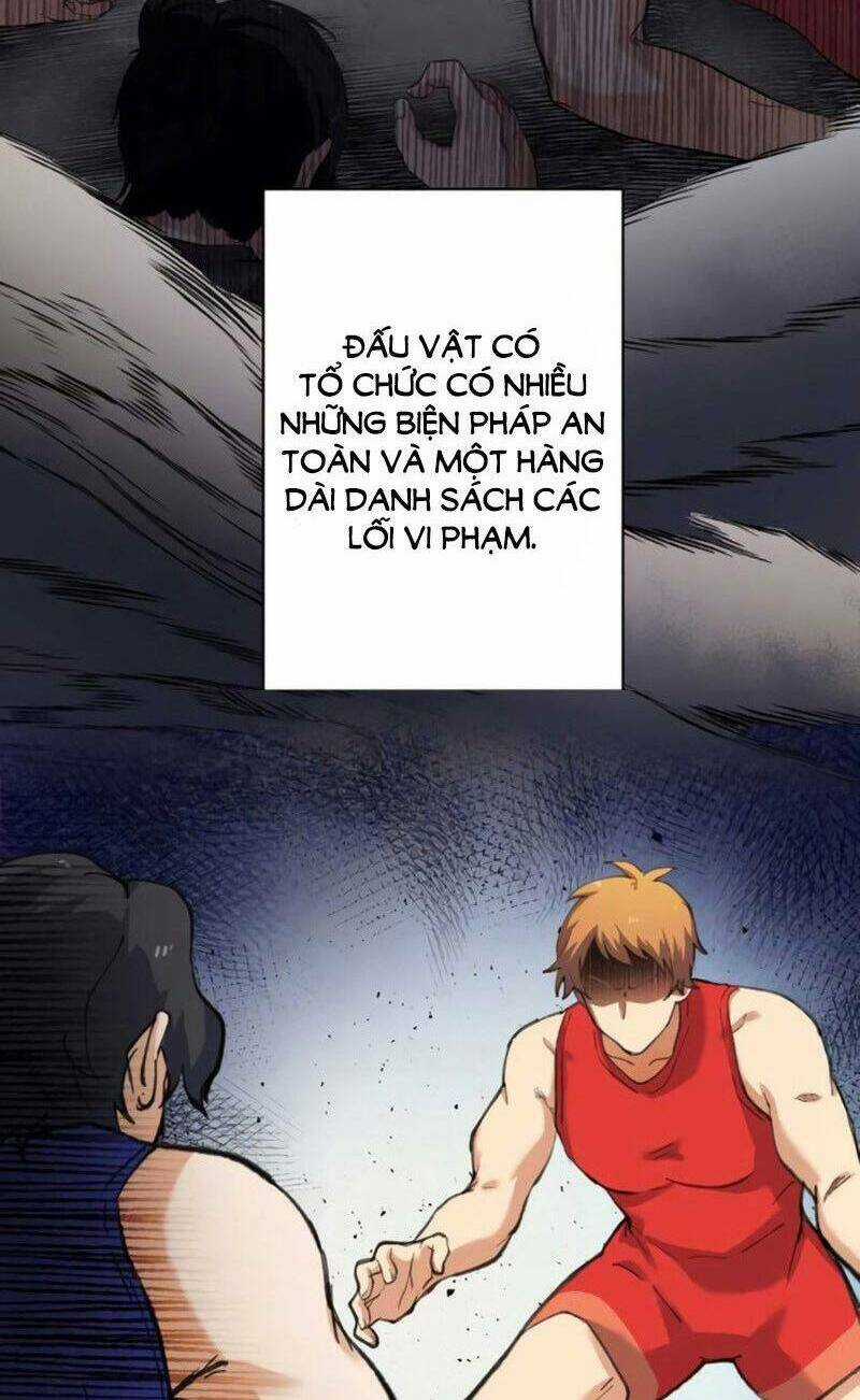 tôi chỉ là một người dọn dẹp Chapter 15 trang 67