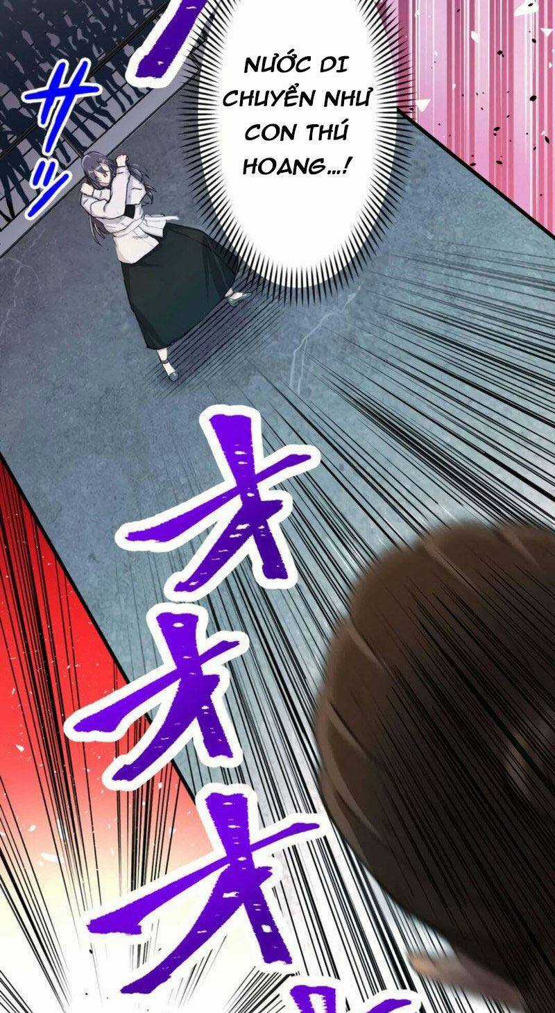 tôi chỉ là một người dọn dẹp Chapter 20 trang 46