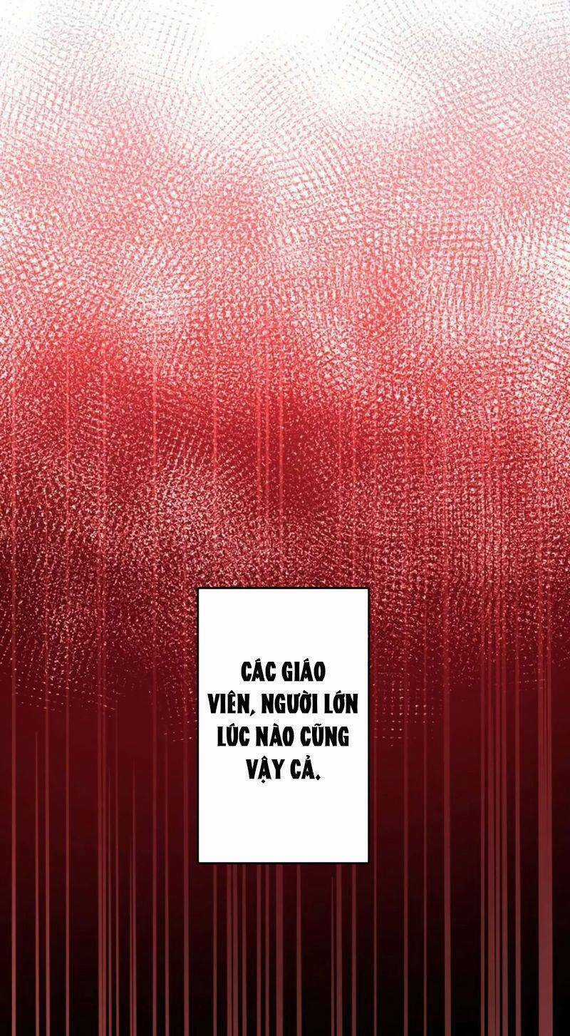 tôi chỉ là một người dọn dẹp Chapter 24 trang 74