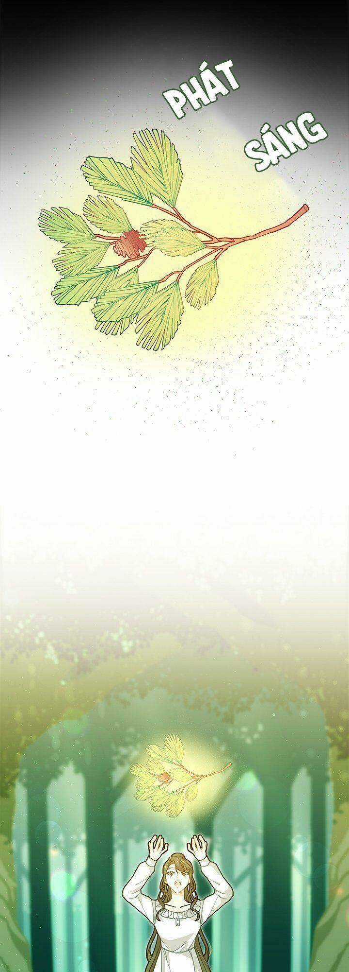 Tôi Chỉ Là Một Tiểu Thư Bình Thường Chapter 2 trang 8