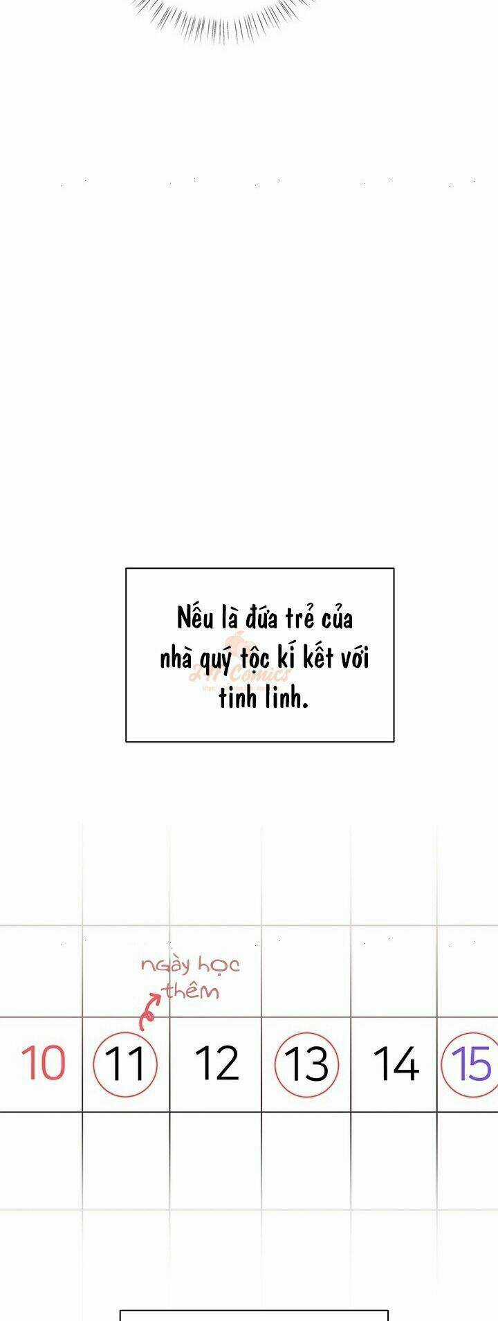 Tôi Chỉ Là Một Tiểu Thư Bình Thường Chapter 32 trang 22