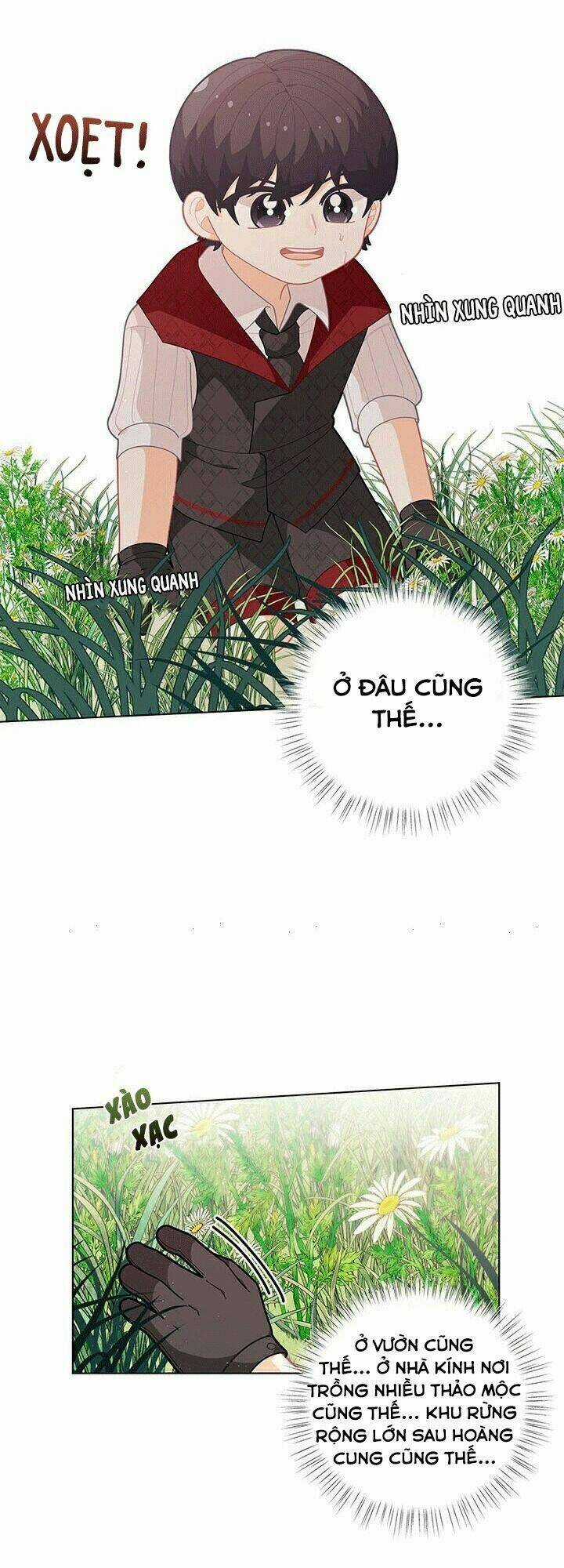 Tôi Chỉ Là Một Tiểu Thư Bình Thường Chapter 35 trang 49