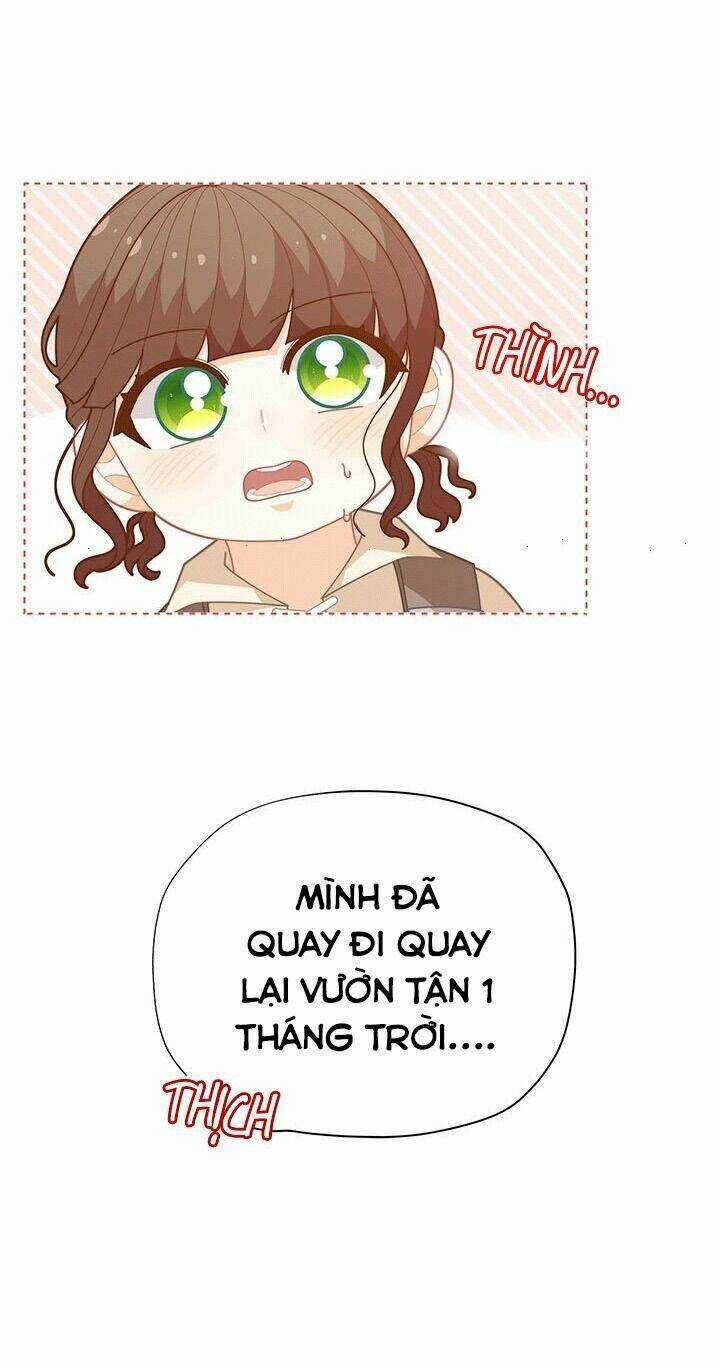 Tôi Chỉ Là Một Tiểu Thư Bình Thường Chapter 36 trang 40