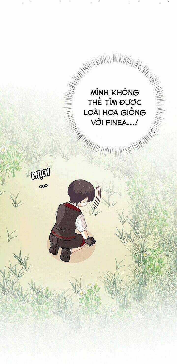 Tôi Chỉ Là Một Tiểu Thư Bình Thường Chapter 36 trang 5