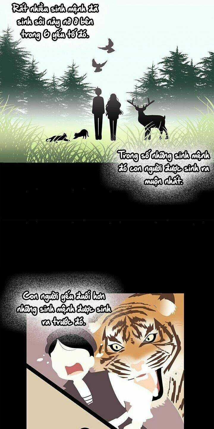 Tôi Chỉ Là Một Tiểu Thư Bình Thường Chapter 38 trang 4