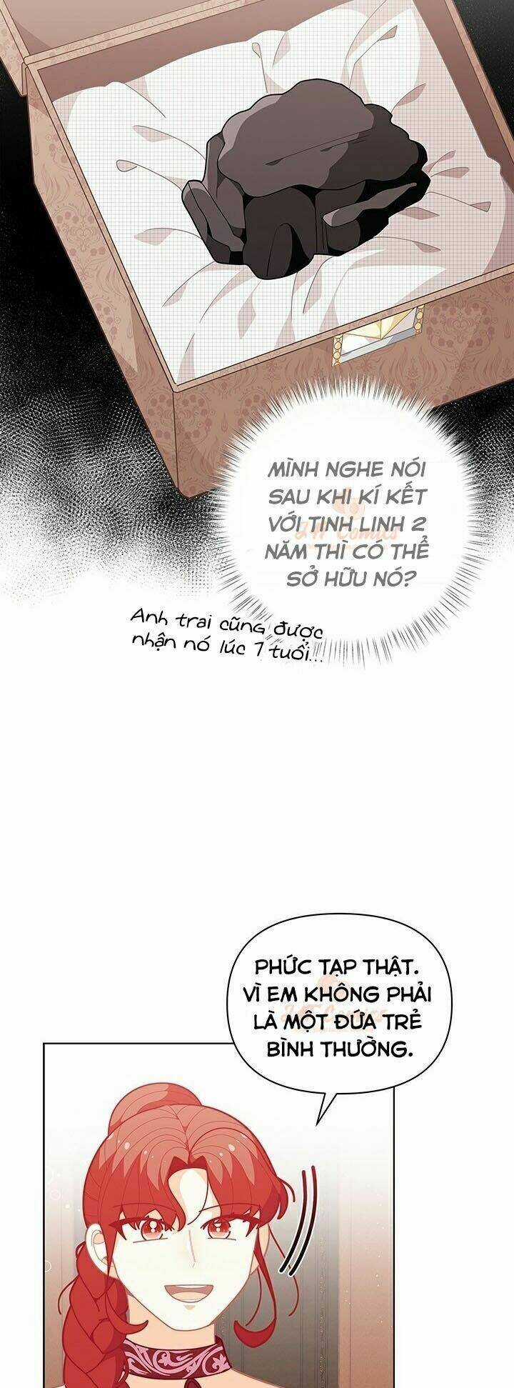 Tôi Chỉ Là Một Tiểu Thư Bình Thường Chapter 40 trang 10