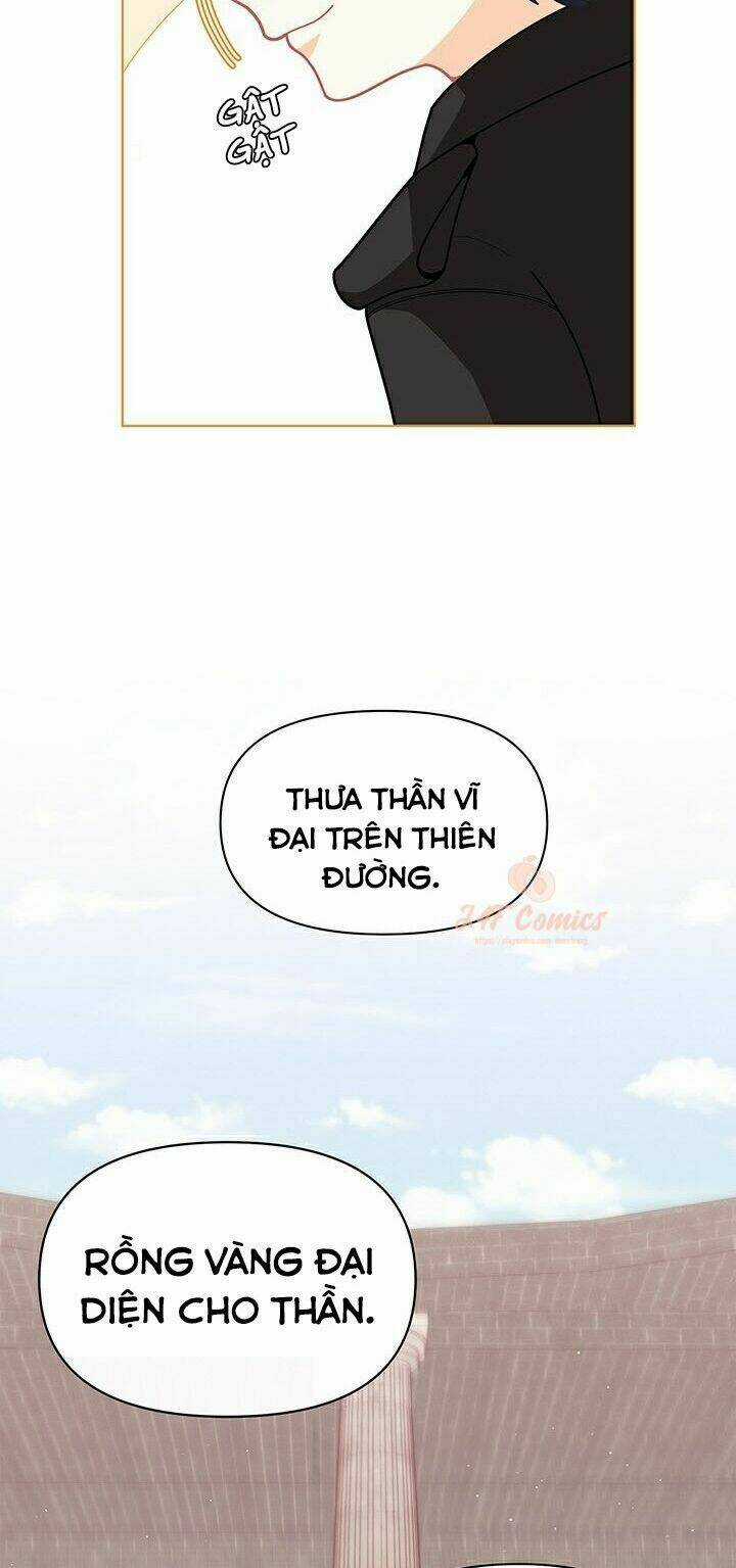 Tôi Chỉ Là Một Tiểu Thư Bình Thường Chapter 41 trang 11