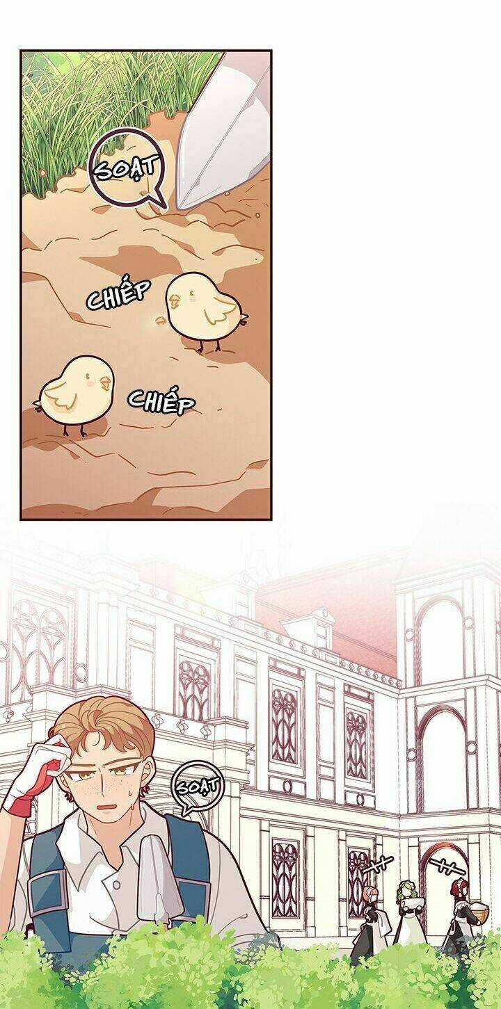 Tôi Chỉ Là Một Tiểu Thư Bình Thường Chapter 47 trang 26