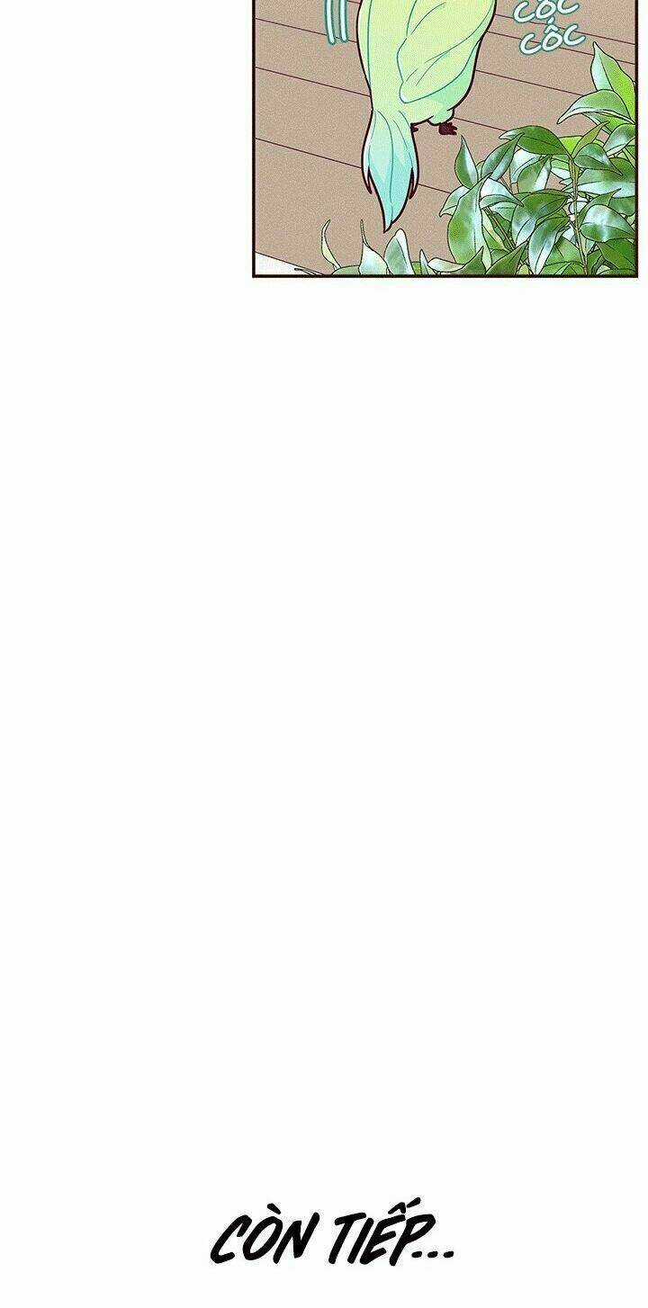 Tôi Chỉ Là Một Tiểu Thư Bình Thường Chapter 47 trang 61