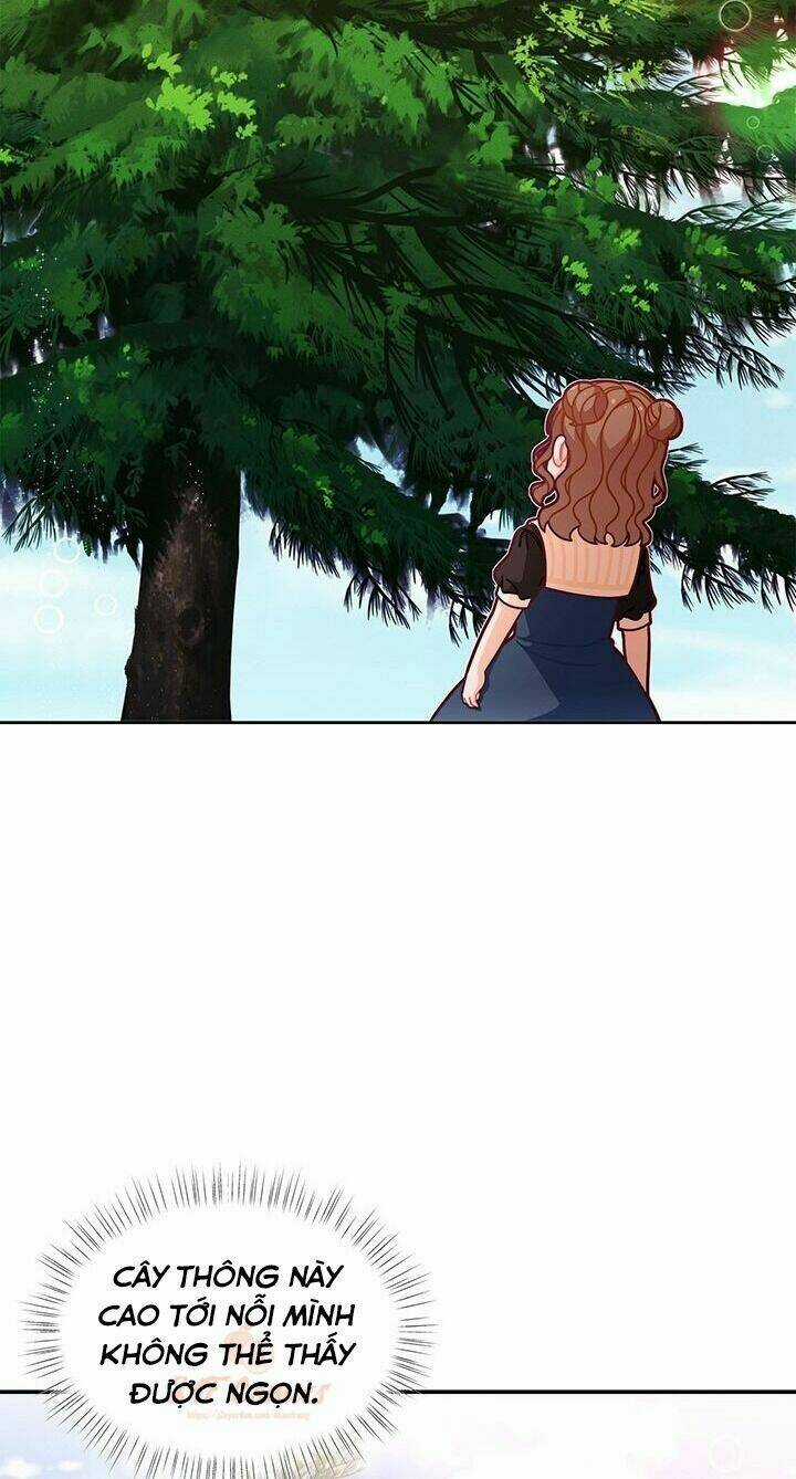 Tôi Chỉ Là Một Tiểu Thư Bình Thường Chapter 49 trang 10