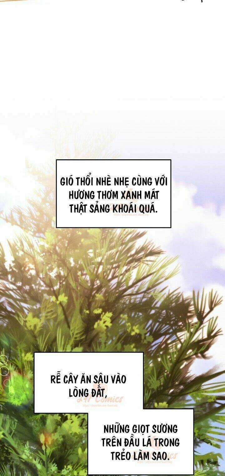 Tôi Chỉ Là Một Tiểu Thư Bình Thường Chapter 49 trang 12