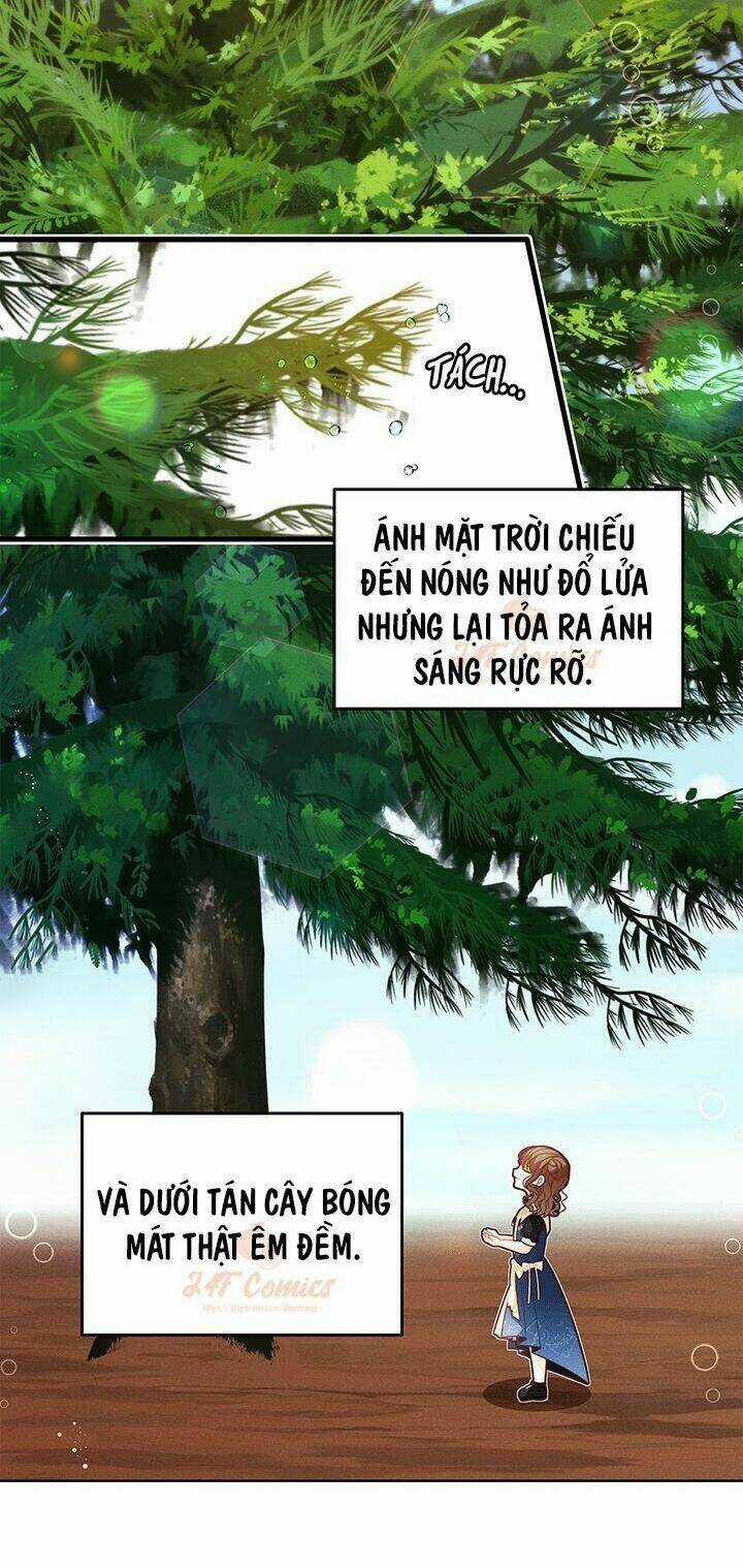 Tôi Chỉ Là Một Tiểu Thư Bình Thường Chapter 49 trang 13