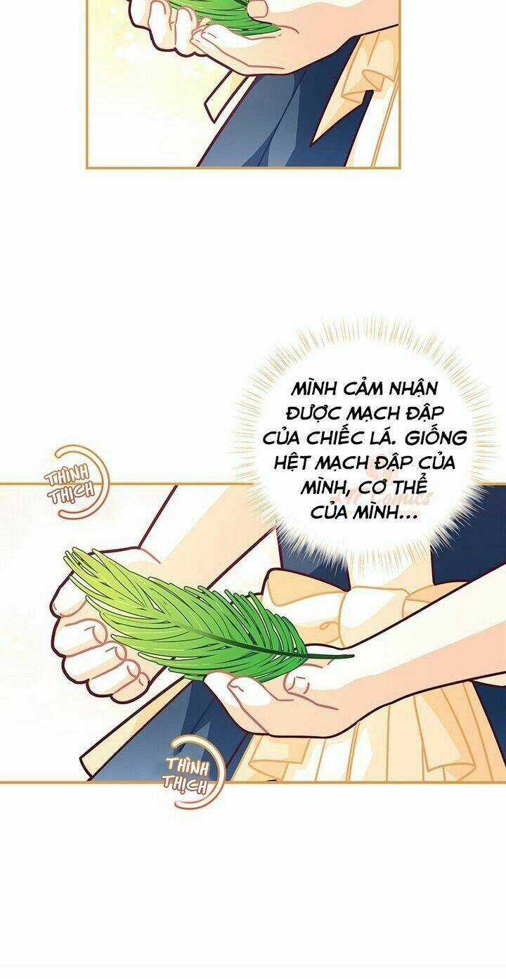 Tôi Chỉ Là Một Tiểu Thư Bình Thường Chapter 49 trang 16