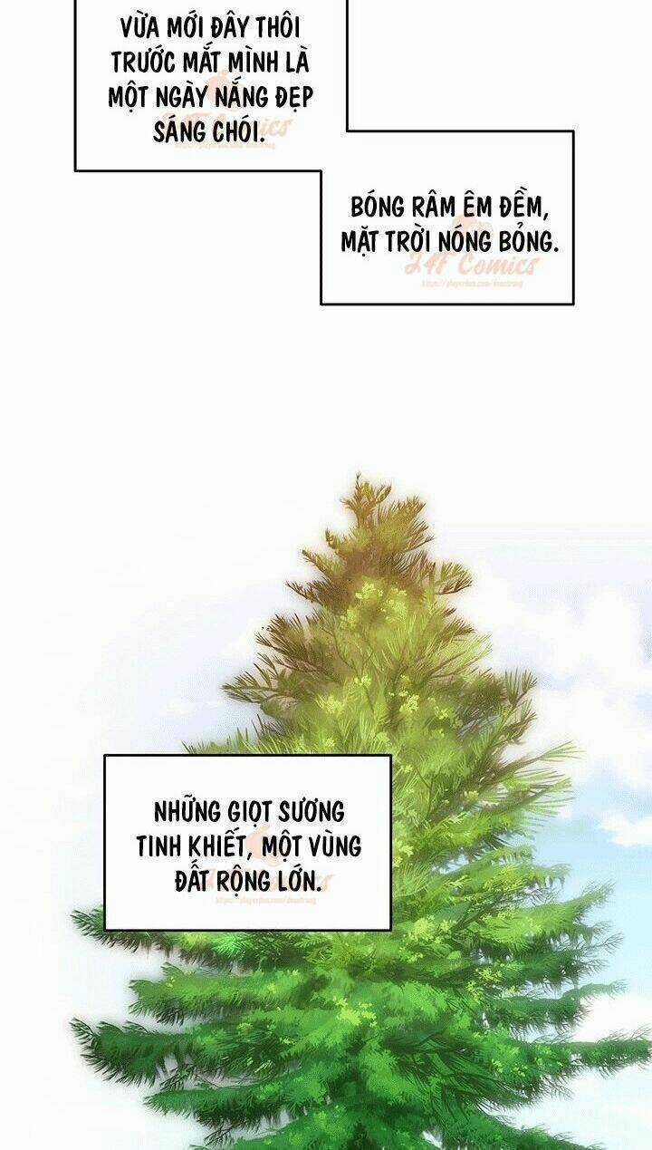 Tôi Chỉ Là Một Tiểu Thư Bình Thường Chapter 49 trang 19