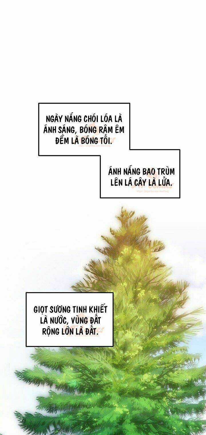 Tôi Chỉ Là Một Tiểu Thư Bình Thường Chapter 49 trang 27