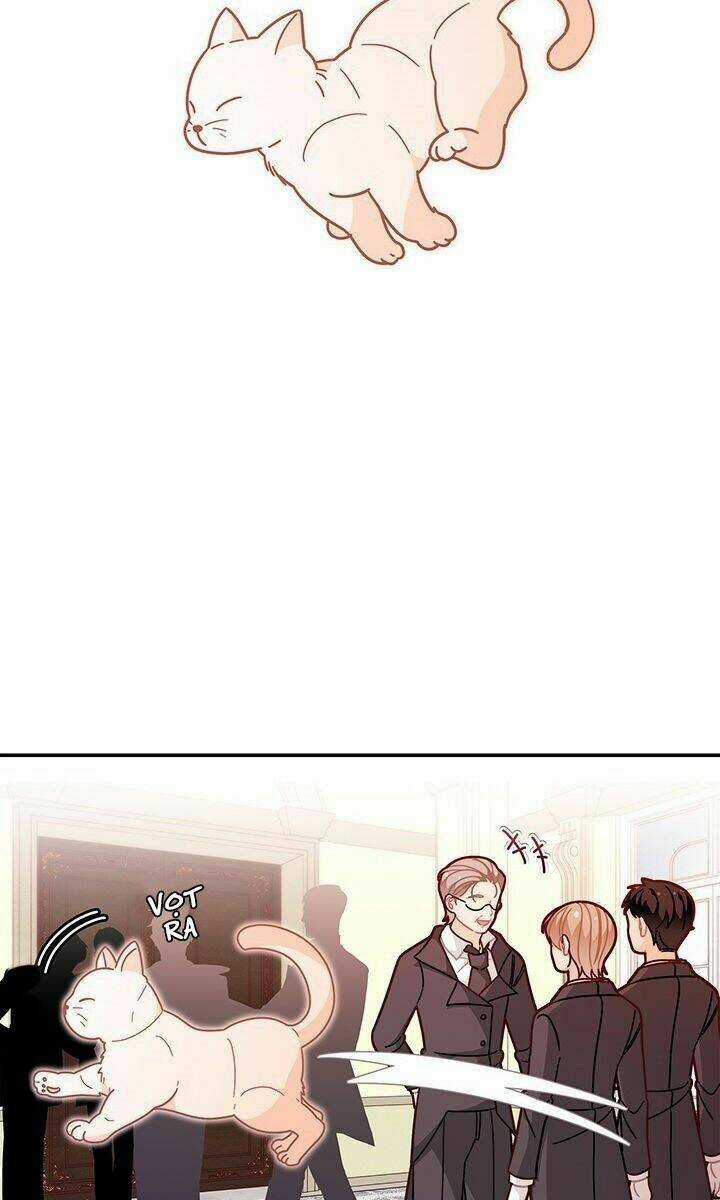 Tôi Chỉ Là Một Tiểu Thư Bình Thường Chapter 49 trang 65